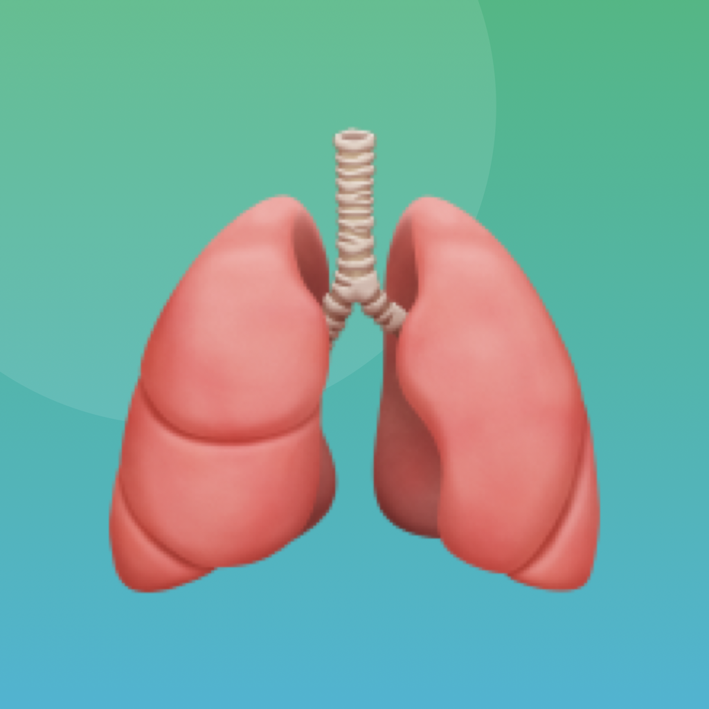 Breath Box icon